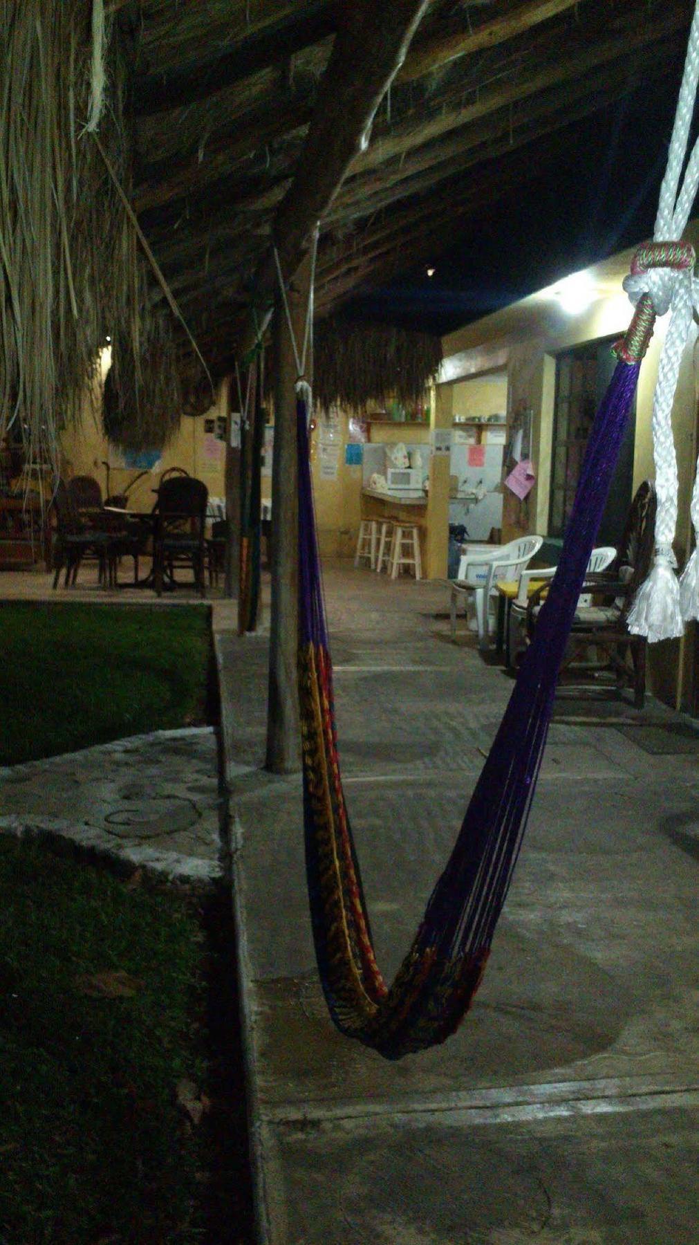 Amigos Hostel Косумель Экстерьер фото