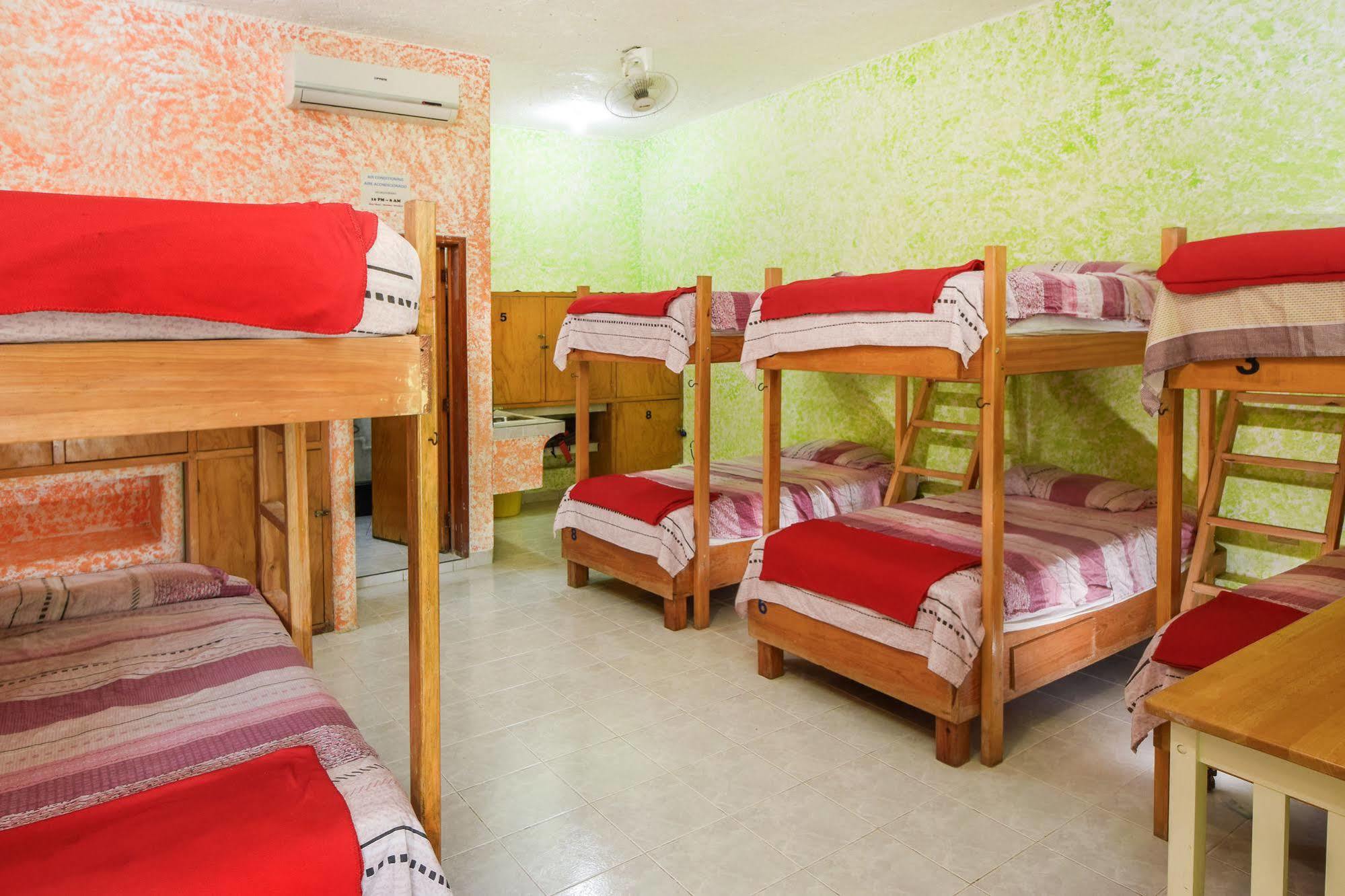 Amigos Hostel Косумель Кровати хостела фото