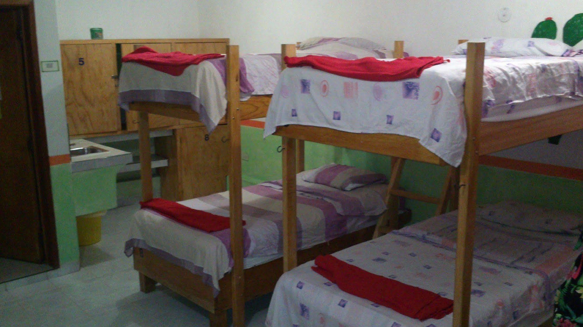 Amigos Hostel Косумель Кровати хостела фото